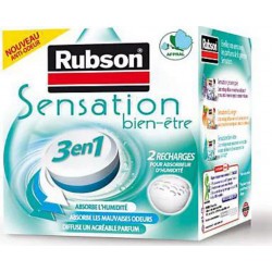 RUBSON 2 Recharges pour absorbeur d'humidité Bien Être