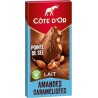 COTE D'OR Chocolat au lait à la pointe de sel et aux amandes caramélisées 180g