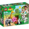 LEGO 10904 LES BEBES ANIMAUX