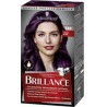 BRILLANCE CERISE NOIRE 888