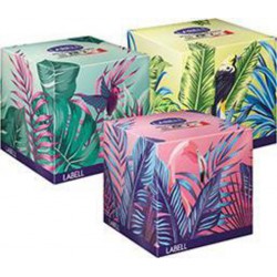 LABELL MCH BT CUB JUNGL 3P X60 boîte 60 mouchoirs