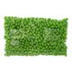 Jelly Belly Kiwi (lot de 6)