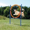 NC Trixie 3208 Équipement D'agilité Pour Chiens Et Chats Bleu, Orange Plastique Chien Kit D'équipement D'agility