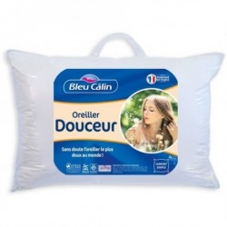 Bleucalin Oreiller Douceur 65x65cm (lot de 2)