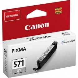 Canon Cartouche d’Encre Pixma ChromaLife 100 571 Gris (lot de 2)