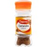 Ducros Coriandre Moulue 32g (lot de 3)