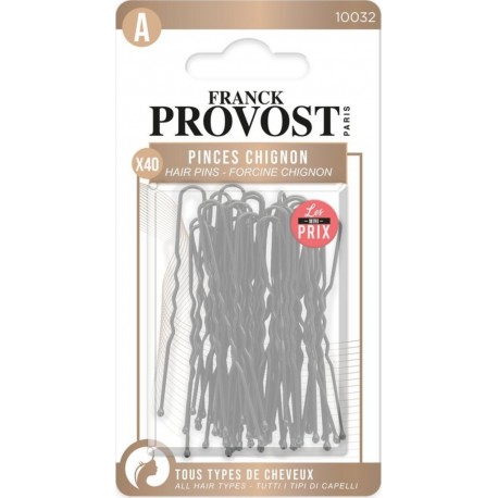 FRANCK PROVOST Pinces Chignon