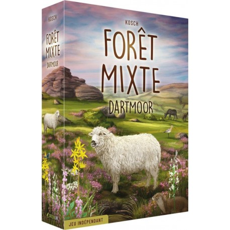 ASMODEE FORET MIXTE DARTMOOR