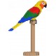 JEKCA BLOCS DE CONSTRUCTION - CONURE SOLEIL