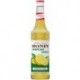Sirop Monin Concentré Rantcho Citron