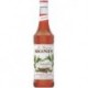 Sirop Monin Cannelle