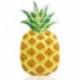 Intex Pineapple Mattress