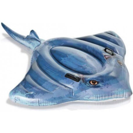 Intex Stingray for Water
