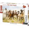 Puzzle Puzzle N 1000 p - Chevauchée dans le désert