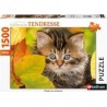 Puzzle Puzzle N 1500 p - Chaton en automne