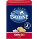 La Baleine Gros Sel Iodé Adapté au Moulin 1Kg (lot de 12)