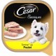 Cesar Les Classiques Terrine au Poulet 300g (lot de 6)