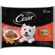 Cesar Délices en Sachet Fraîcheur Sélection en Sauce 100g par 4 (lot de 4 soit 16 sachets)