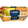 St Mamet Dessert cocktail de fruits sans sucre ajoutés Dessert