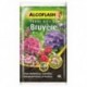 Algoflash Terreau Terre Dite de Bruyère pour Hortensias et Camélias 6L (lot de 2 soit 12L)