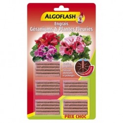 Algoflash Engrais Géraniums et Plantes Fleuries Diffusion Progressive 25 bâtonnets (lot de 3 soit 75 bâtonnets)