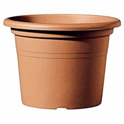 Deroma Pot de Fleur Rond Farnese Terre Rouge Diamètre 25cm Hauteur 17,7cm (lot de 8)