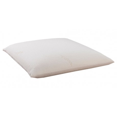 Dodo Oreiller Végétal 60X60 (lot de 2 oreillers)