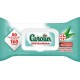 Carolin Anti-Bactérien x80 Lingettes à l’Huile Essentielle d’Eucalyptus (lot de 4 soit 320 lingettes)
