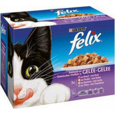 FELIX SACHET EMINCE 12X100G 3222270010597