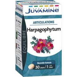 Juvamine Équilibre Articulations Harpagophytum (lot de 2)