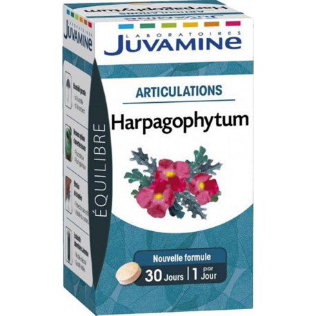 Juvamine Équilibre Articulations Harpagophytum (lot de 2)