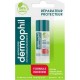 Dermophil Stick Lèvres Réparateur Protecteur Formule Indienne