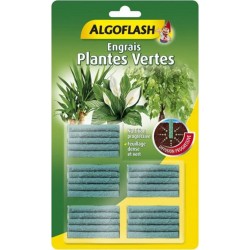 Algoflash Engrais Plantes Vertes Diffusion Progressive 25 bâtonnets x25